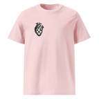 Cotton Pink / 2XL