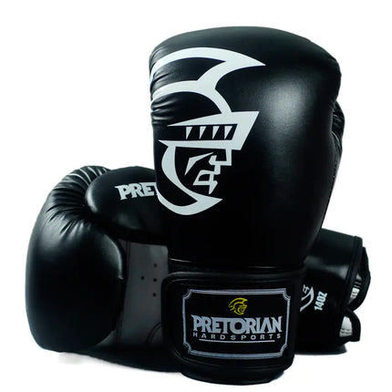 Professional Boxing Gloves for Combat Sports