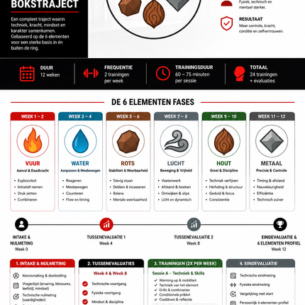 6 Elementen 12 Weken Bokstraject