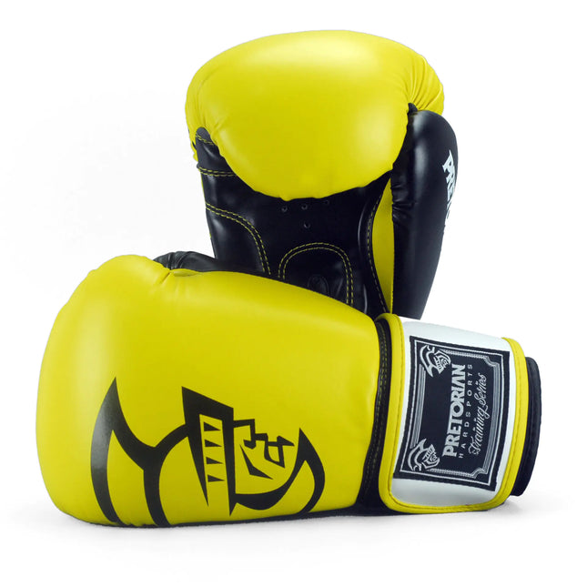 Professional Boxing Gloves for Combat Sports